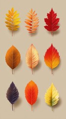 Obraz premium Colorful autumn leaves arranged in a grid showcasing seasonal changes and diversity in nature