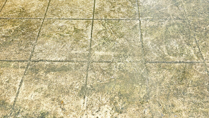 Textured Tile: A close-up shot reveals a weathered, textured tile, the subtle details of its surface creating an inviting visual pattern. Capturing the textures.