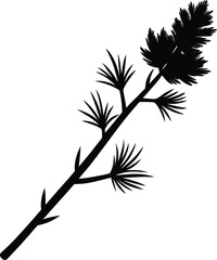 branch of a tree