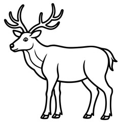 deer vector illustration