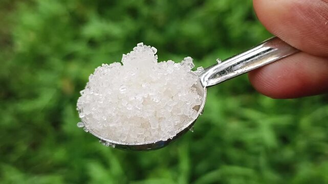 Closeup of teaspoon with pile of powdered and refined organic sugarcane white sucrose crystals isolated on green background. carbohydrate, glucose, fructose, high sugar and unhealthy diet concept.