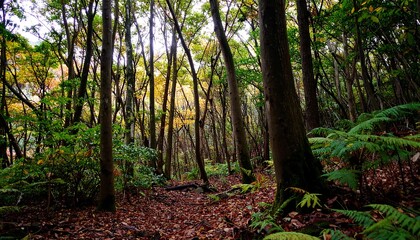 Fototapeta premium Lush autumn forest path