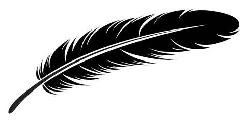 Fototapeta premium PNG Feather bottle animal shark.