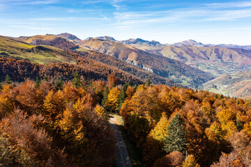Une forêt de sapins et de hêtres en automne dans des vallées du Pays-Basque