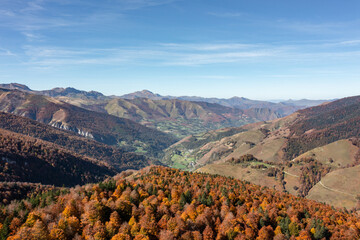 Une for&ecirc;t de sapins et de h&ecirc;tres en automne dans des vall&eacute;es du Pays-Basque