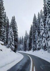 19. A road with snow-covered trees creating a tunnel effect