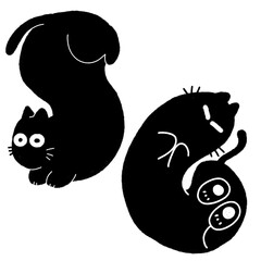 Cats Black and White