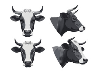 Cattle Portrait Set: Four detailed portraits of bovine heads, highlighting different angles and breeds, are displayed, perfectly rendered with sharp detail. 