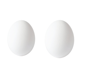 Single White Egg with Smooth Shell, isolated on a white background