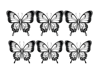 Butterfly Pattern: An intricate illustration showcases six butterflies, each a marvel of design. Their delicate wings are filled with detailed patterns. Capturing a symmetrical arrangement.