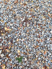 pebbles on the beach