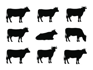 Cattle Silhouettes in Various Poses: A collection of striking silhouettes showcases a diverse array of cattle poses, ranging from standing tall to gracefully grazing.