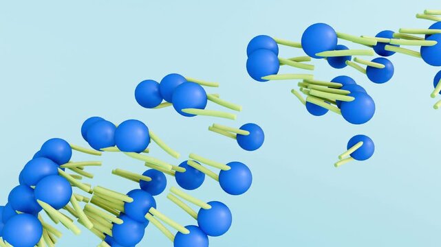 A 3D animation illustrating the self-assembly of a liposome from its constituent phospholipid molecules.
