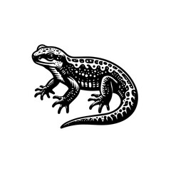 Obraz premium Lizard walking isolated on white background