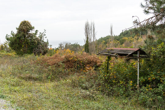 autumn landscape in a small village in Black Sea region, Turkey