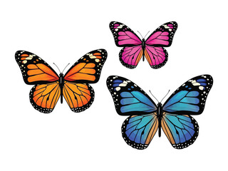 Enchanting Trio of Fluttering Butterflies: Captivating a moment of elegance, these multi-colored butterflies showcase the delicate beauty and vibrant essence of nature.