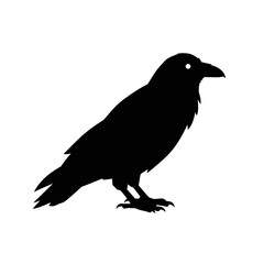 Obraz premium Silhouette of a Crow with a Distinctive White Eye
