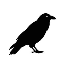 title Solid black silhouette of a crow or raven with a white eye keywords