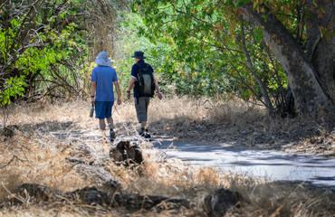 Two men walking in the bush in summer. Dried grass along the track. California.