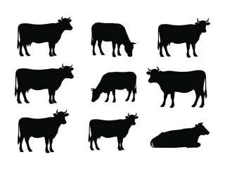 Cattle Silhouettes Collection: A sleek, vector-based compilation showcases a variety of cow silhouettes, each expertly rendered to capture the essence of rural livestock in its different postures.