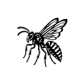 black and white wasp flying clip art preview
