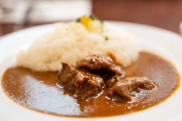 Japanese Beef Curry and Rice on White Plate
