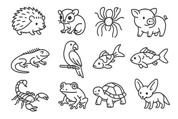 Exotic Pet Icons. Line style icons of exotic pets: hedgehog icon, sugar glider, tarantula icon, miniature pig, iguana pose, macaw
