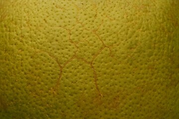 Surface of Local Pomelo Skin with Fine Cracks from Heat and Manual Harvesting_4