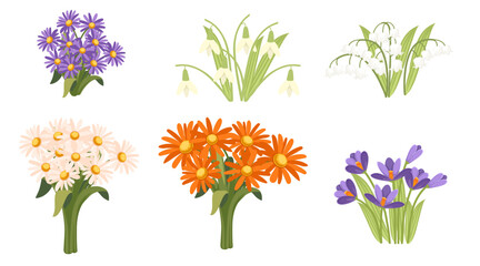 Flower bouquet collection. Various arrangements of daisies and wildflowers. White, orange, purple blooms with stems and leaves. Floral decoration. Vector illustration isolated on white background