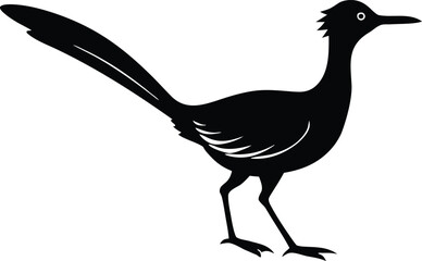 roadrunner bird isolated silhouette vector illustration