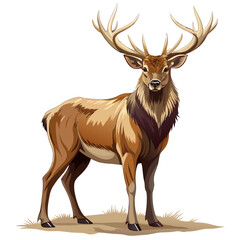 Deer with Antlers Illustration