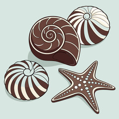 Seashells and Starfish Illustration