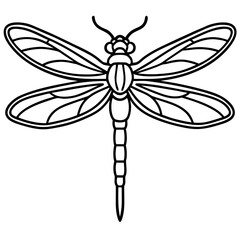 Elegant Dragonfly Line Illustration