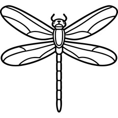Elegant Dragonfly Line Illustration