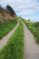 Pathway through lush greenery in Zarautz, inviting exploration on a clear day
