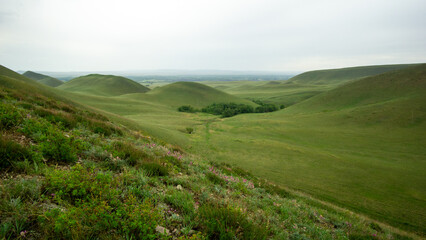Fototapeta premium Long mountains. Expansive green hills stretch across the landscape under a cloudy sky, showcasing the beauty of nature and the tranquility of rural scenery in a serene environment