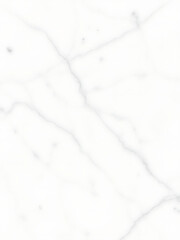 Obraz premium Elegant white marble background with natural grey vein patterns for luxurious interior design and abstract concepts.