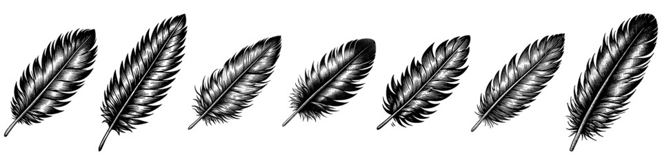 Vintage Hand-Drawn Kinds of Feathers Illustration, Nature Engraved Vector for Boho and T-Shirt Design