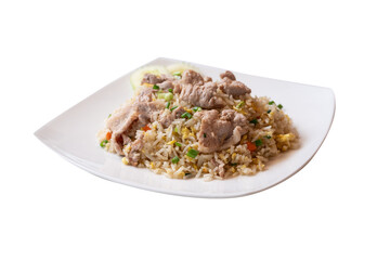 Delicious Pork Fried Rice on a White Plate