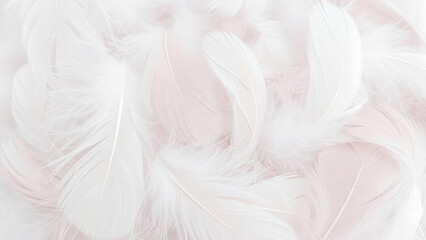 Obraz premium Delicate layers of soft white feathers with hints of pale pink, forming a gentle and airy background texture.