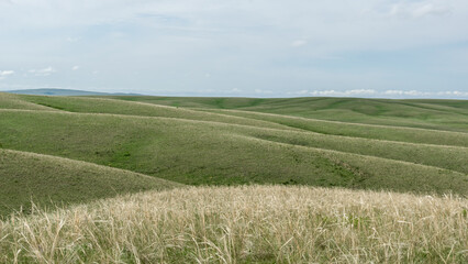 Expansive green hills with gentle undulations and patches of dry grass under a bright sky, showcasing the beauty of natural landscapes and serene environments