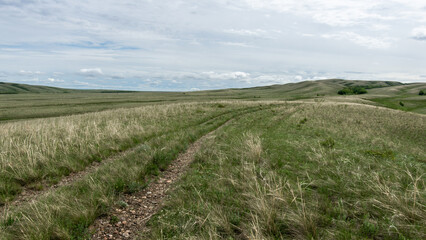 Fototapeta premium Expansive green landscape with rolling hills, dirt path winding through tall grass, under a cloudy sky, showcasing the beauty of nature and tranquility in rural settings
