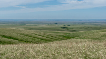 Expansive green grasslands stretch across rolling hills under a bright blue sky, showcasing the beauty of nature and the tranquility of open landscapes in a serene environment