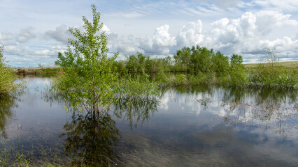Lush green trees reflecting in tranquil water under a bright blue sky with fluffy clouds, creating a serene landscape scene of nature's beauty and harmony