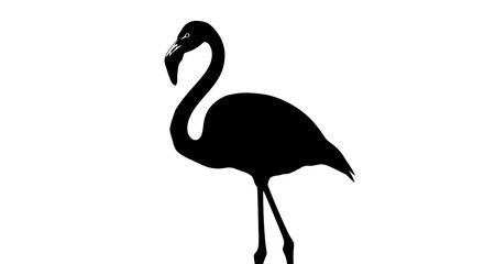 Flamingo silhouette on white
