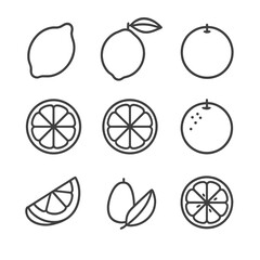 Citrus Fruit Icons. Line style icons of Citrus Fruits: lemon, lime, orange, grapefruit, tangerine, pomelo wedge, kumquat, yuzu