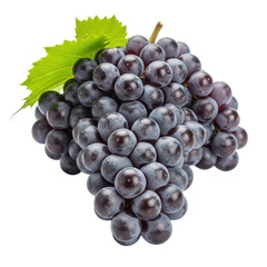 Fototapeta premium Fresh purple grapes cluster with leaf on transparent background