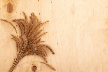 Fluffy decorative spikelets on wooden background with copy space. Greeting card with Earthy tones on natural wood.