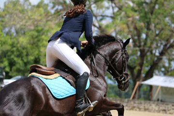 competitive equestrian sport