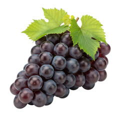 Fototapeta premium Fresh bunch of black grapes with leaves on transparent background